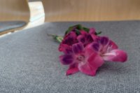 ein Bild aus dem Album